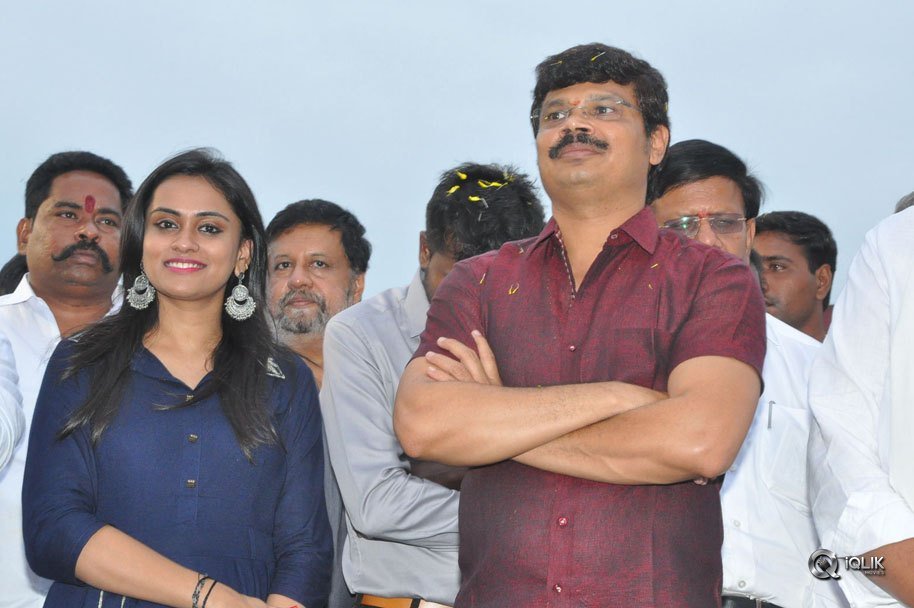 Jaya-Janaki-Nayaka-Movie-Vijayotsava-Veduka-At-Hamsala-Deevi